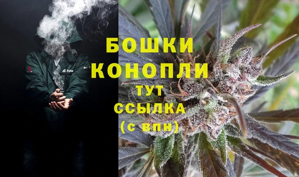 крисы Абдулино
