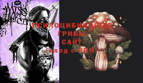 mix Абаза
