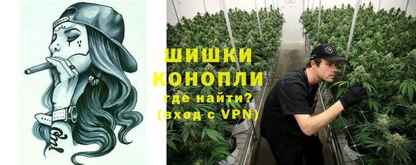 крисы Абдулино