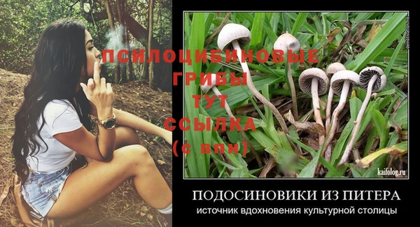 спиды Протвино